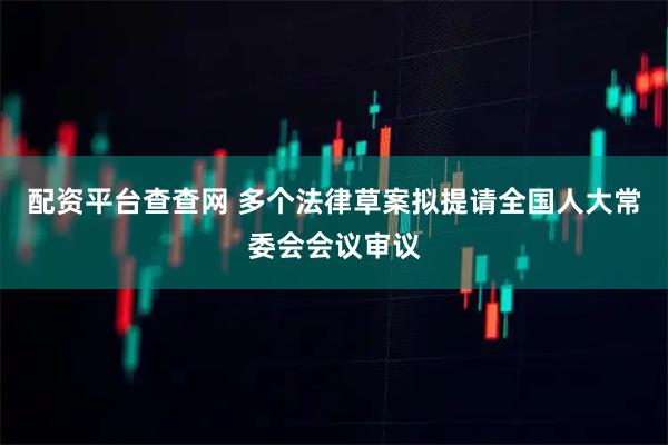 配资平台查查网 多个法律草案拟提请全国人大常委会会议审议