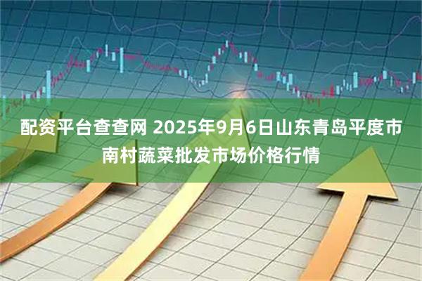 配资平台查查网 2025年9月6日山东青岛平度市南村蔬菜批发市场价格行情