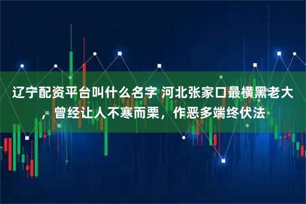 辽宁配资平台叫什么名字 河北张家口最横黑老大,曾经让人不寒而栗,作恶多端终伏法